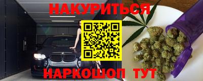 дмт Аргун