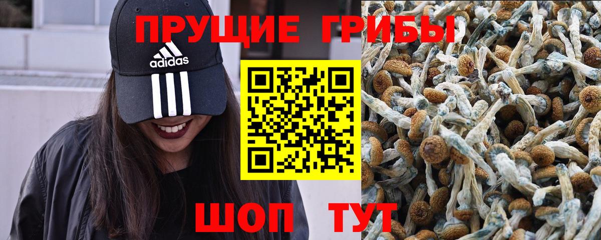 Аша  Галлюциногенные грибы Psilocybe  Вход с VPN 